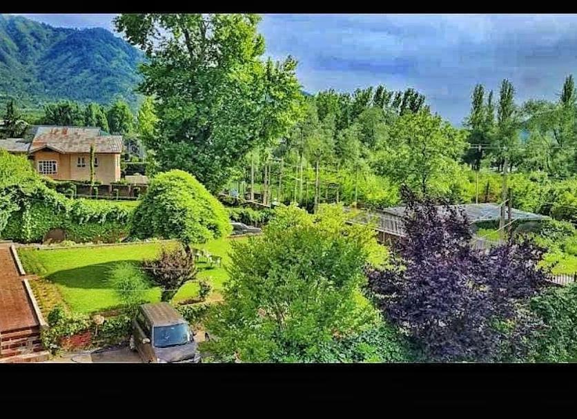 Outdoors view Photo