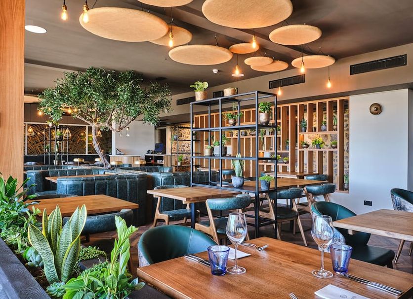 Llanerch Vineyard Hotel in Pontyclun restaurant with wooden tables, teal chairs, and indoor tree decor