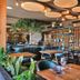 Llanerch Vineyard Hotel in Pontyclun restaurant with wooden tables, teal chairs, and indoor tree decor