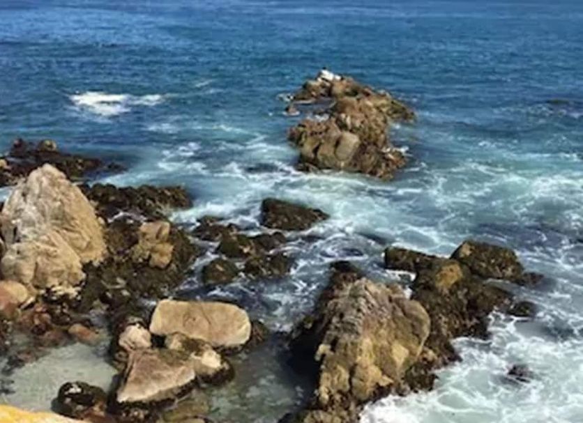 Monterey Fairgrounds Inn in Monterey with rocky ocean shoreline and waves