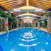Tianheng International Hotel, Jinhua: indoor pool with skylit ceiling, tropical plants and lane markers