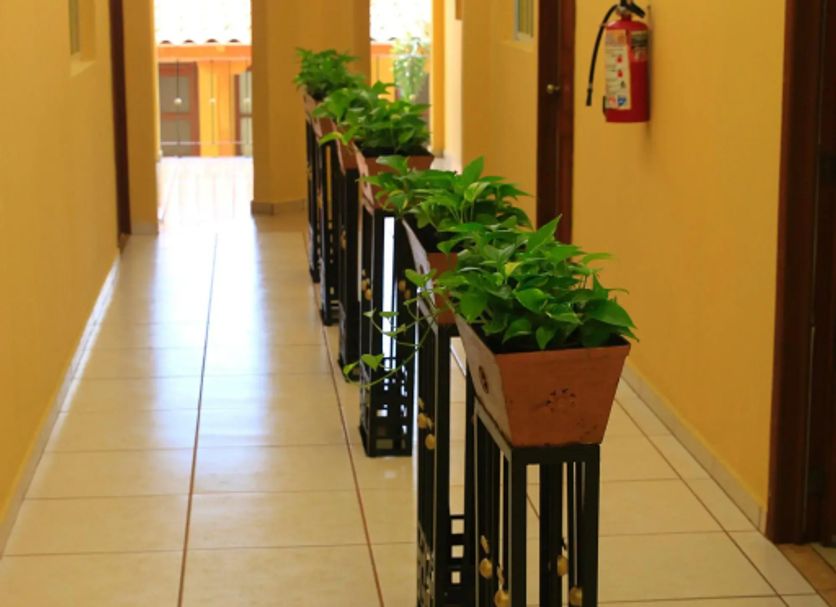 Hallway Photo