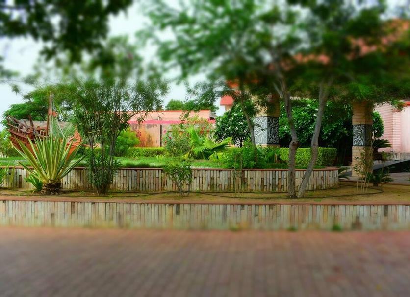 Outdoors view Photo