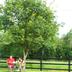 Outdoors view