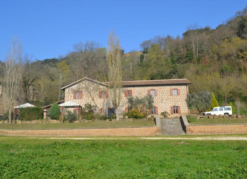 Other Photo