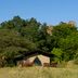 Mbuzi Mawe Serena Camp in Serengeti: safari tent amid grassland and trees