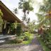Tanjung Alam Hotel in Buleleng with tropical garden path beside palm trees and a poolside view