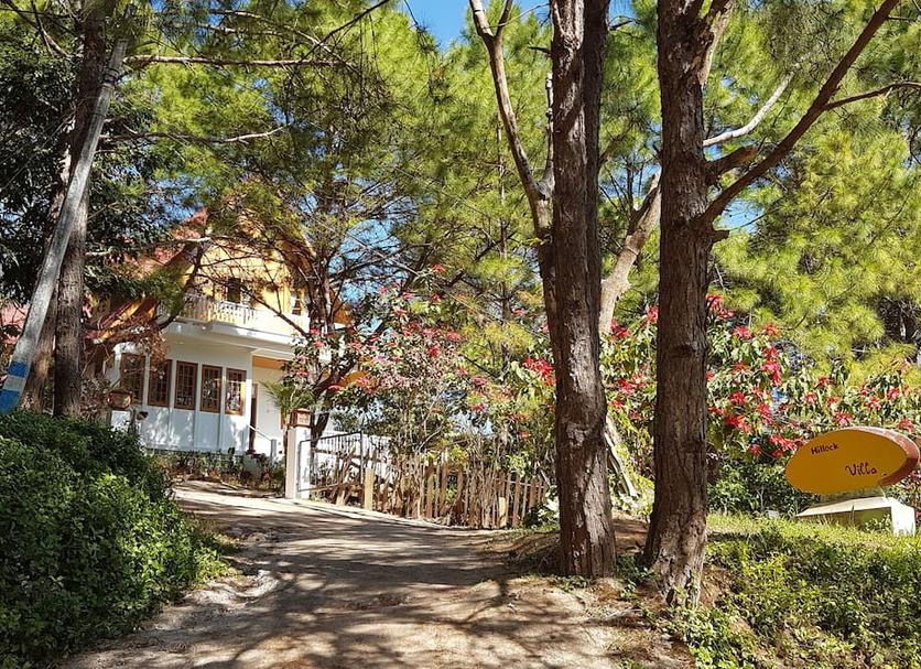 Outdoors view Photo