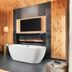 Kinship Landing in Colorado Springs: modern room with freestanding tub, fireplace, TV, and daybed