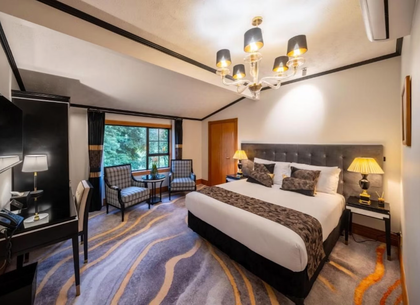 Hana Lodge in Hamurana guest room with king bed, desk, armchairs, and forest view through window