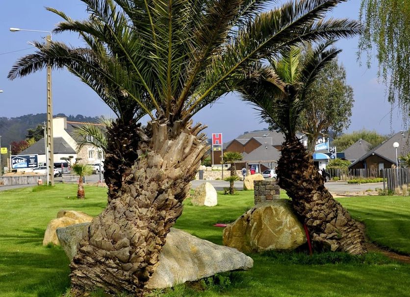 Hôtel de la baie de Paimpol in Ploubazlanec with palm trees and landscaped garden