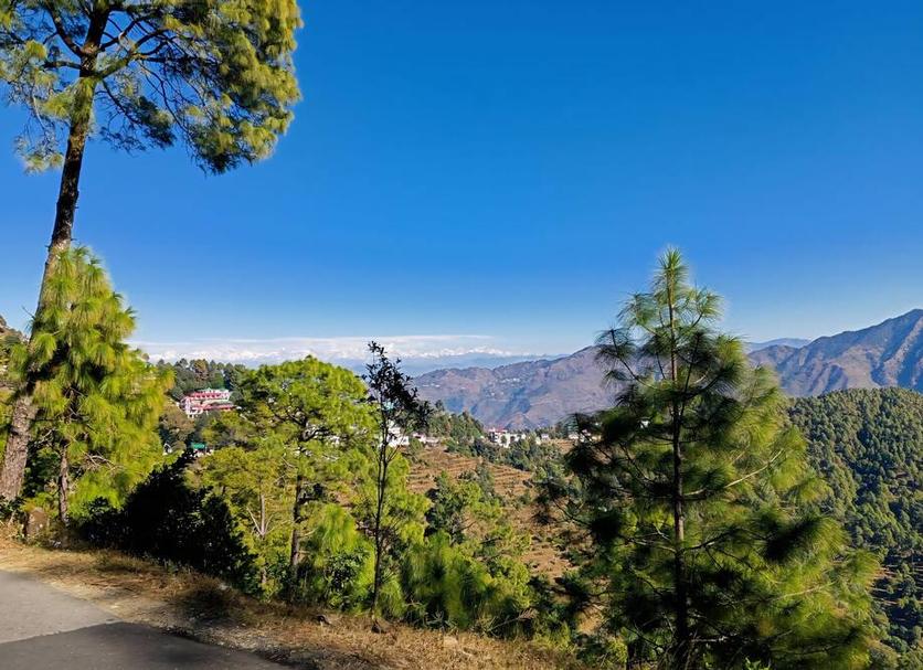Outdoors view Photo
