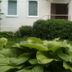 Outdoors view