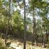 Outdoors view