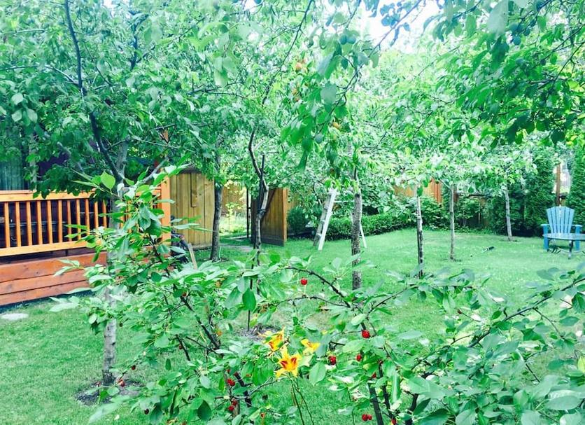 Outdoors view Photo
