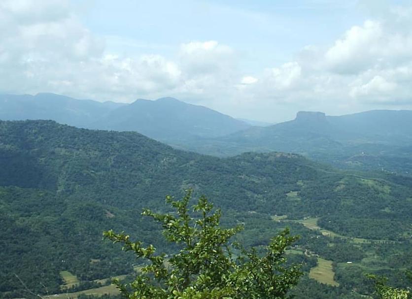 Outdoors view Photo