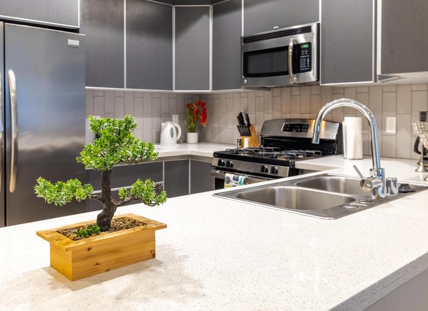 Kitchen Photo
