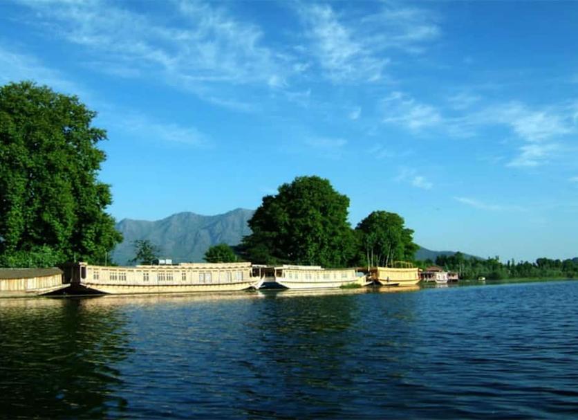 Other Photo