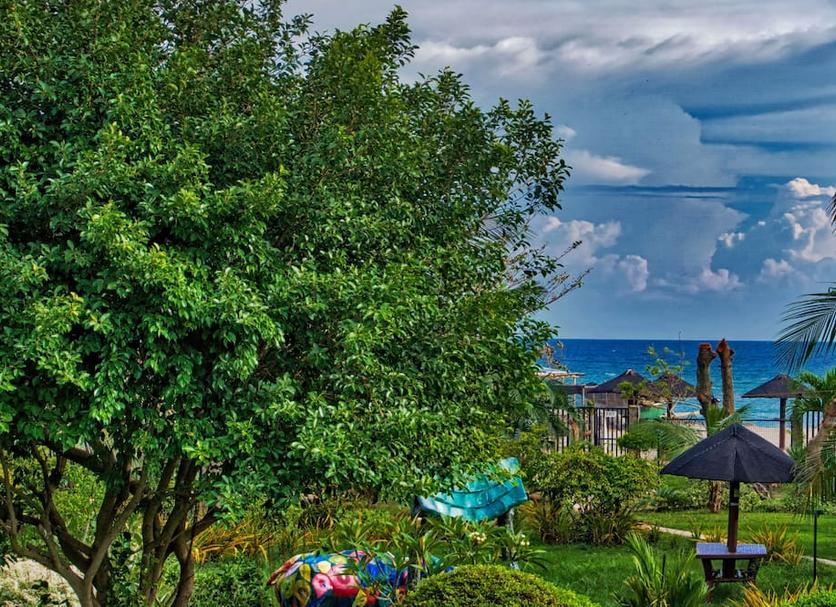 Outdoors view Photo