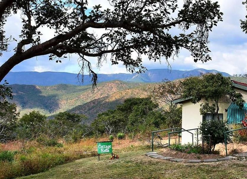 Outdoors view Photo
