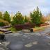 Outdoors view