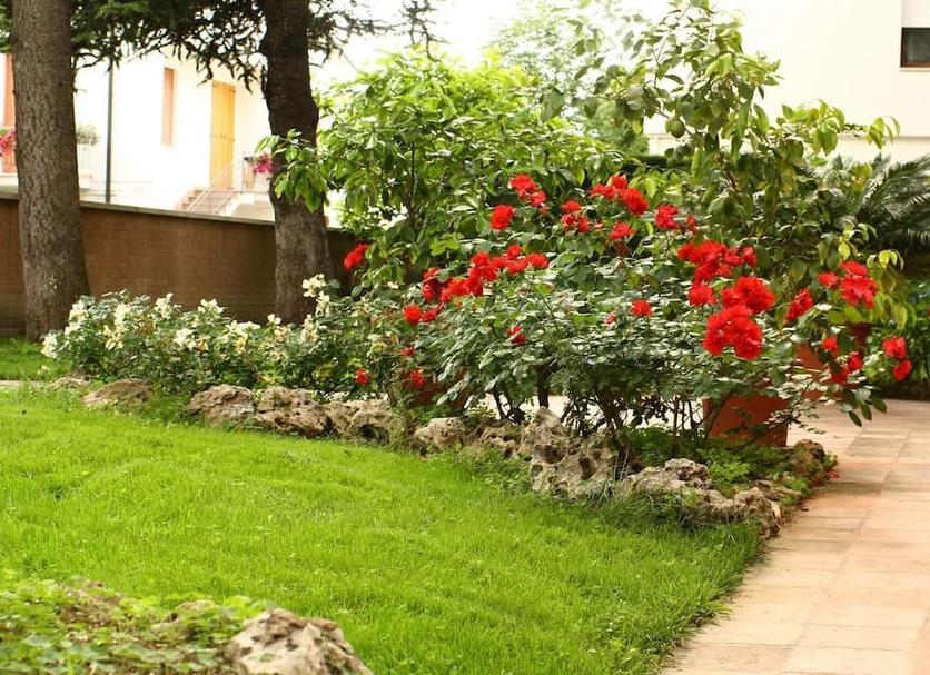 Outdoors view Photo