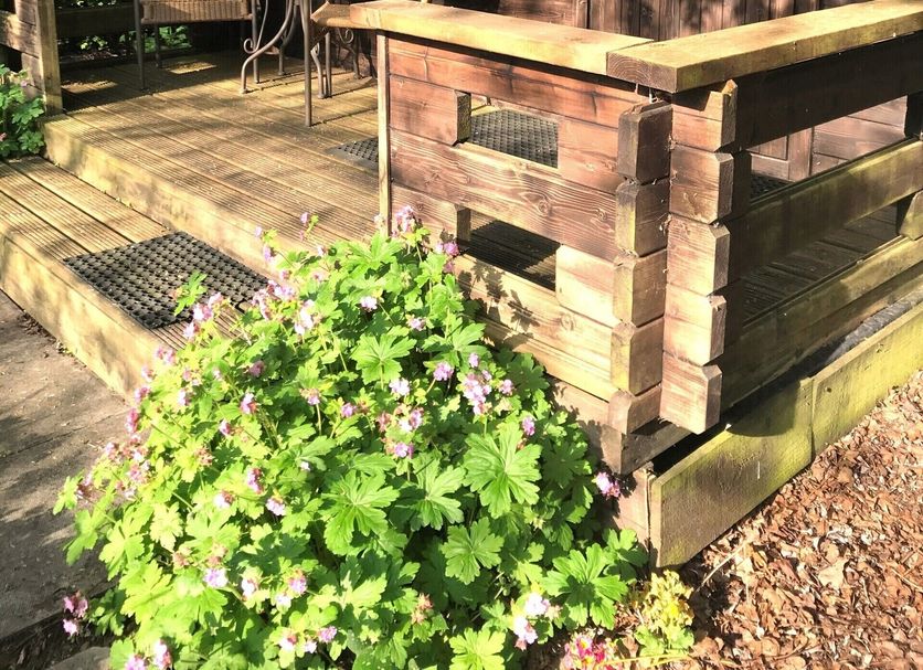 Robeanne House in Beverley with a wooden cabin deck, outdoor seating, and flowered garden