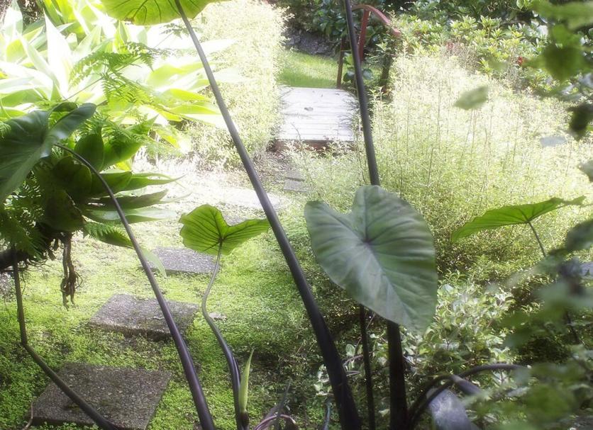 Other Photo