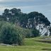 Lottin Point Motel in Hicks Bay with ocean views, grassy lawn and landscaped trees
