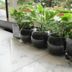 Toyoko Inn Naha Omoromachi Ekimae potted green plants on a marble ledge by a window