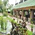 Nalla Eco Beach Resort in Pondicherry with a lush garden pond and palm-lined walkway