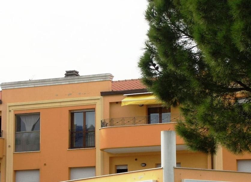 Other Photo