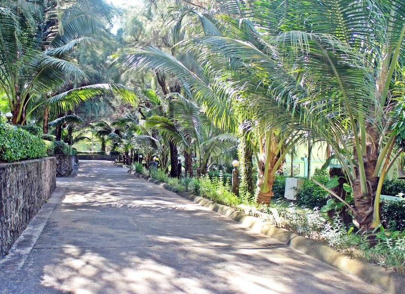 Outdoors view Photo