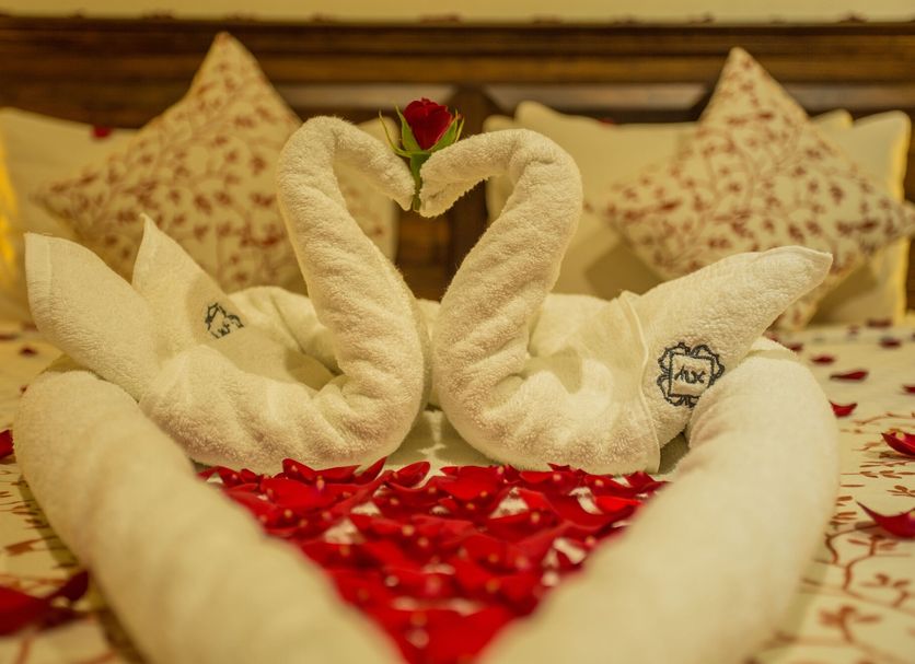 Room amenity Photo