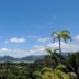 Outdoors view