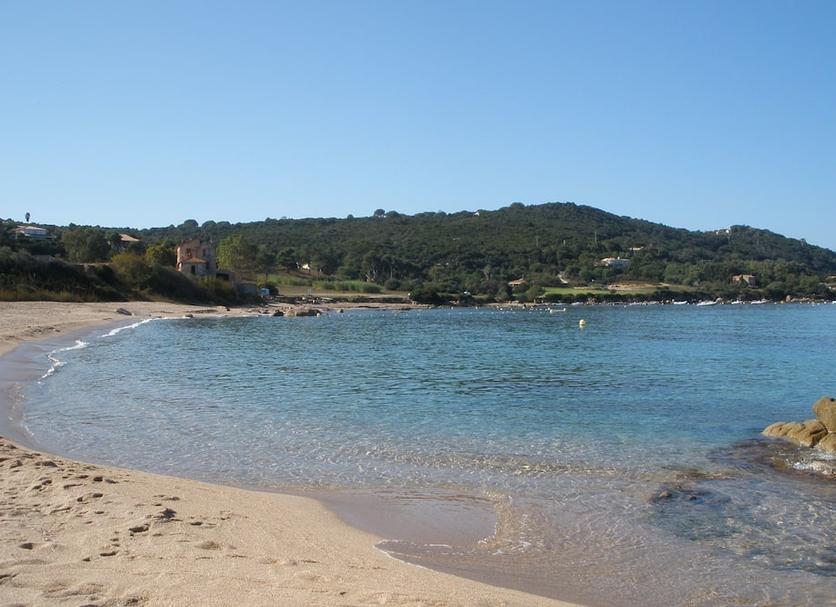 Other Photo