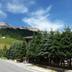 Outdoors view