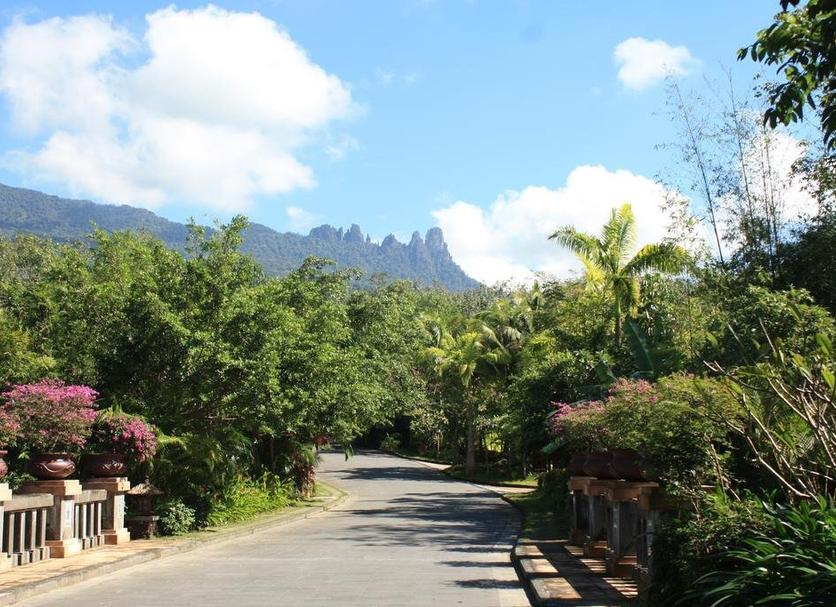 Outdoors view Photo