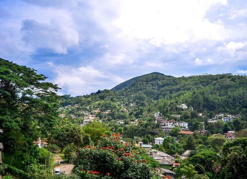 Outdoors view Photo