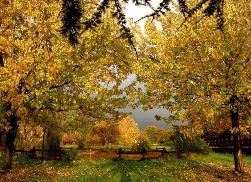 Outdoors view Photo