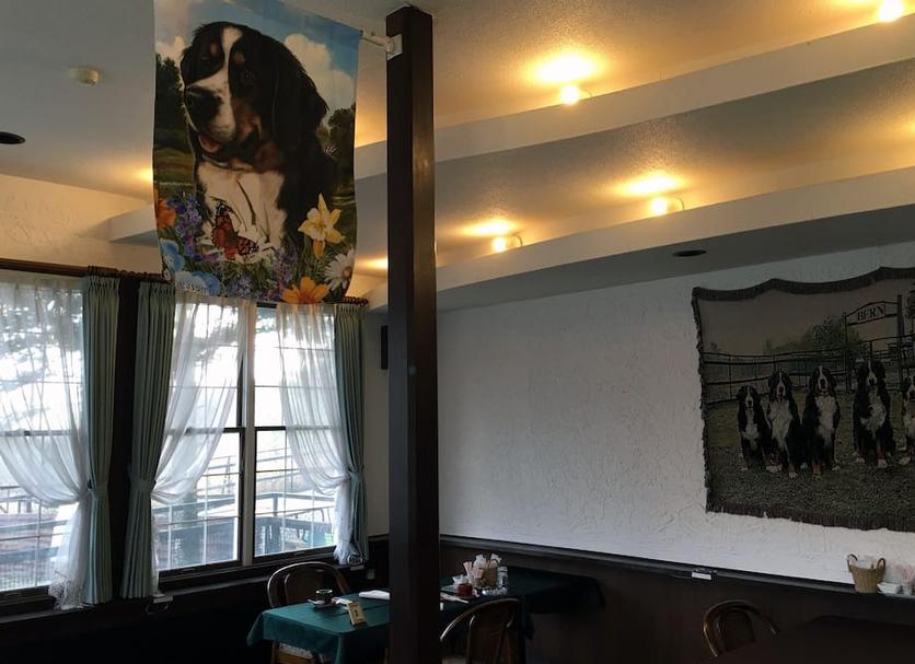 Room amenity Photo
