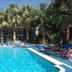 Sami Plaza in Bodrum with a palm-lined outdoor pool and sun loungers beside the water