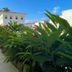 Pousada Fortaleza in Paraty with a garden walkway beside white buildings and tropical plants