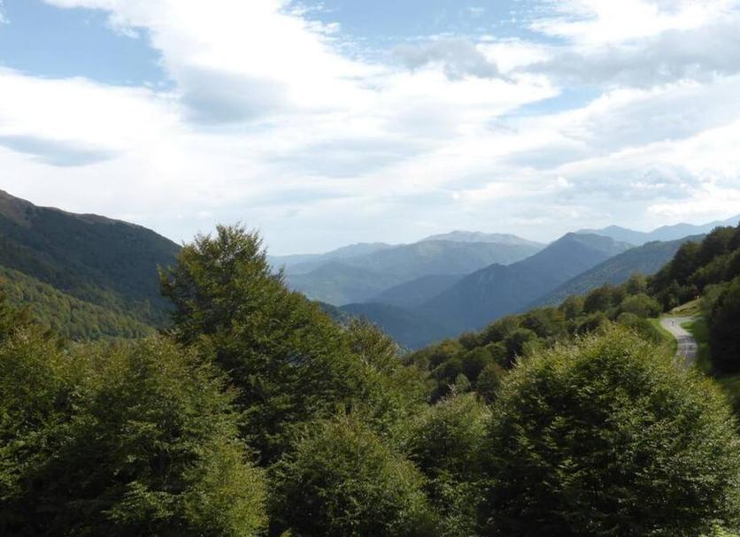Outdoors view Photo