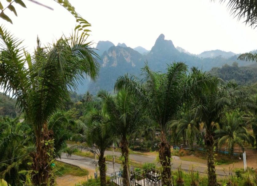 Outdoors view Photo