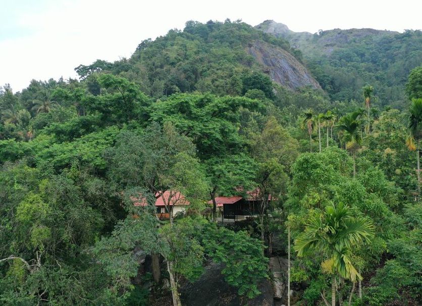 Avadale Wayanad in Kalpetta with lush green hillside and mountain view