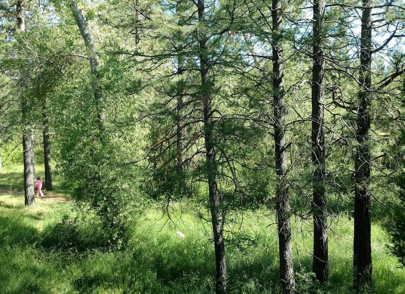 Outdoors view Photo