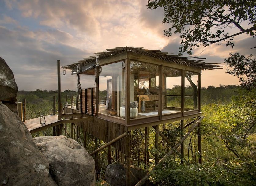 Lion Sands Ivory Lodge in Skukuza, elevated glass safari suite over the treetops at sunset