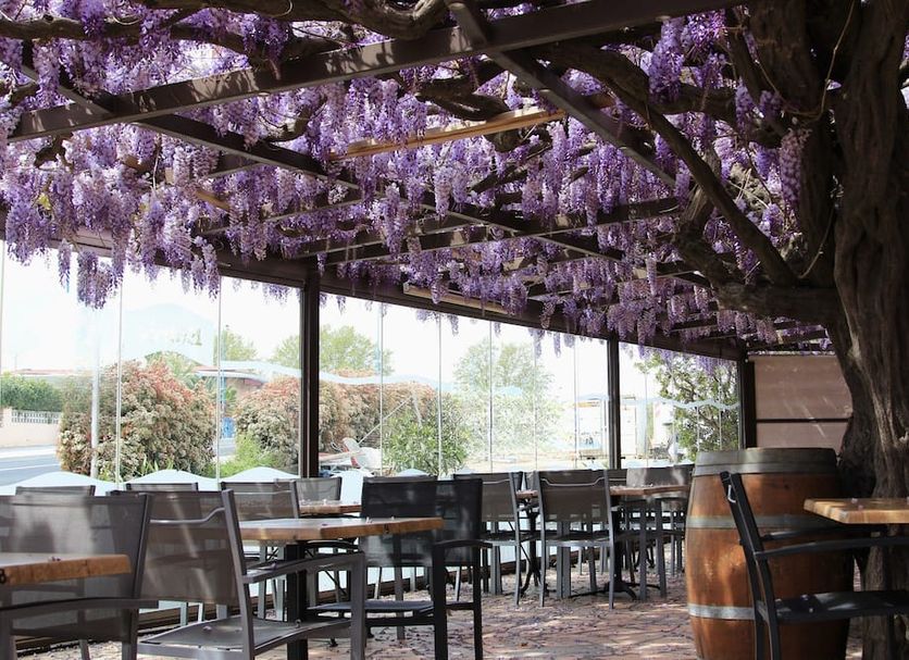 Auberge du Bon Vivant in Argelès-sur-Mer, terrace dining area under purple wisteria overhead
