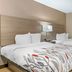 Red Roof Inn Detroit-Rochester Hills/Auburn Hills room with two beds and wood headboard in Rochester Hills